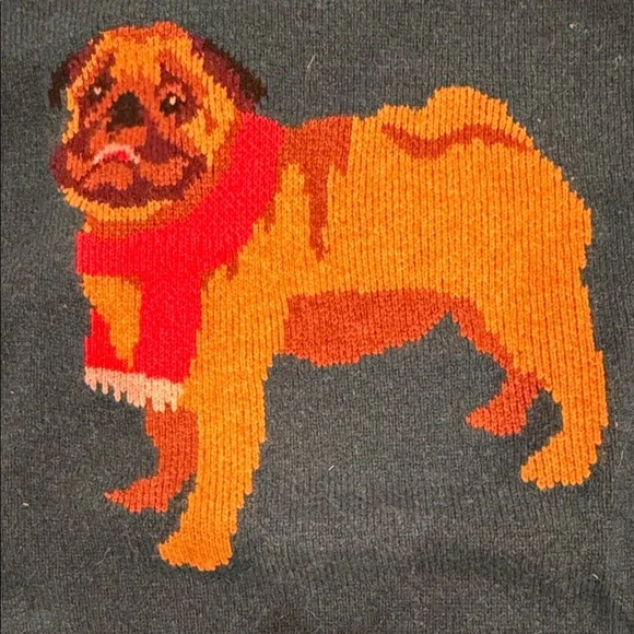 Bonobos Teal Sweater with Pug Design - Picture 3 of 5